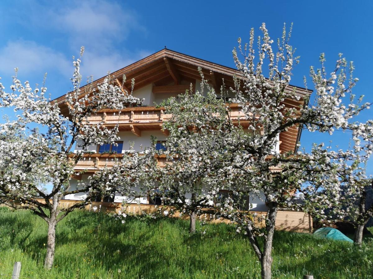 Appartements Hoepfl 韦斯滕多夫 外观 照片